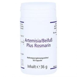 Артемизинин 150 мг капс. 60шт в Салавате и области фото
