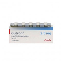 Гутрон таблетки 2,5 мг. №20 в Салавате и области фото